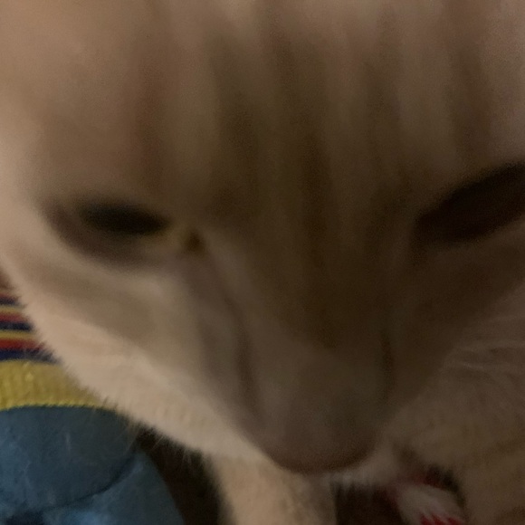 Meet your posher Aurora - Picture 9 of 12